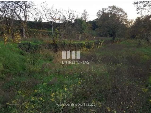 Casa venda em Souselo, Viseu