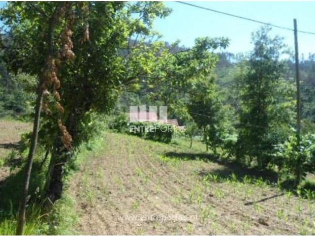 Casa venda em Nespereira, Viseu