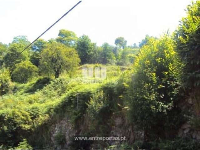 Casa venda em Tarouquela, Viseu