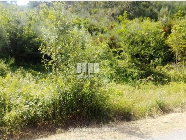 Casa venda em Tarouquela, Viseu