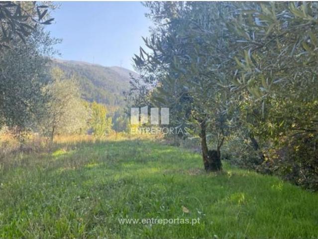 Casa venda em São Cristóvão De Nogueira, Viseu