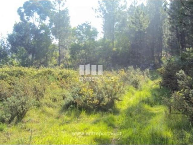 Casa venda em São Cristóvão De Nogueira, Viseu