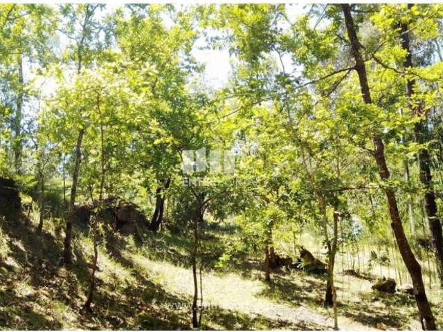 Casa venda em Espadanedo, Viseu