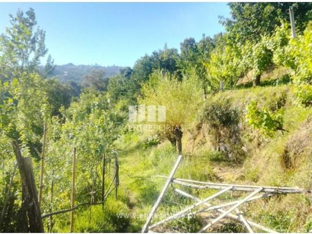 Casa venda em Santiago De Piães, Viseu