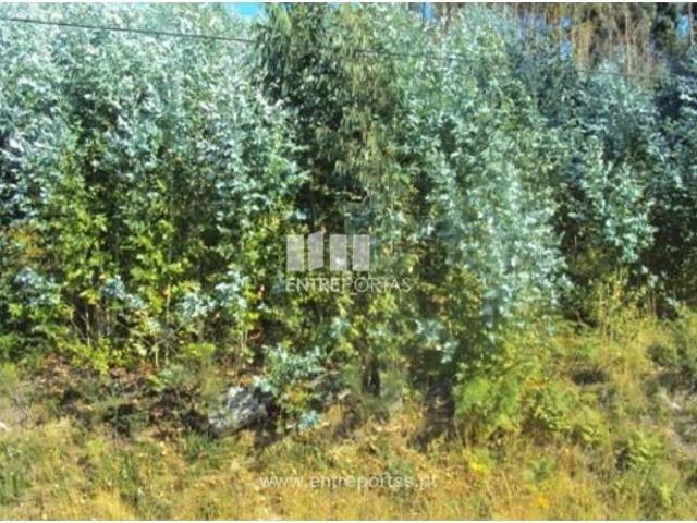 Casa venda em Tarouquela, Viseu