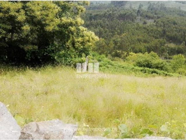 Casa venda em Vilar de Arca, Santiago De Piães