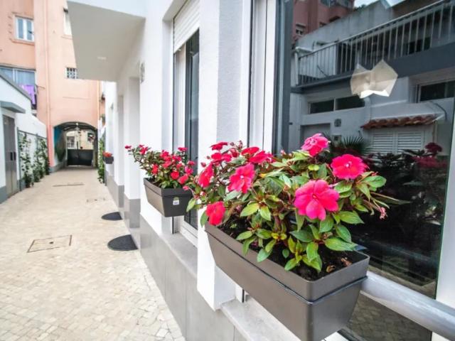 Casa alugar em Bairro de Campolide, Lisboa