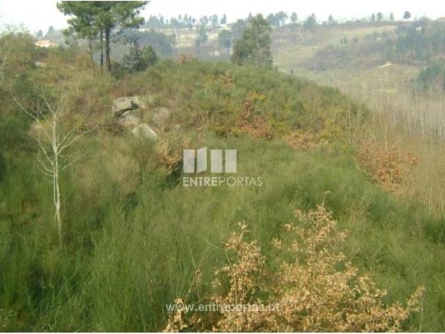 Casa venda em Rio de Galinhas, Marco De Canaveses