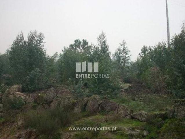 Casa venda em Várzea do Douro, Várzea