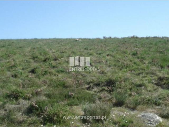 Casa venda em Rio de Galinhas, Marco De Canaveses