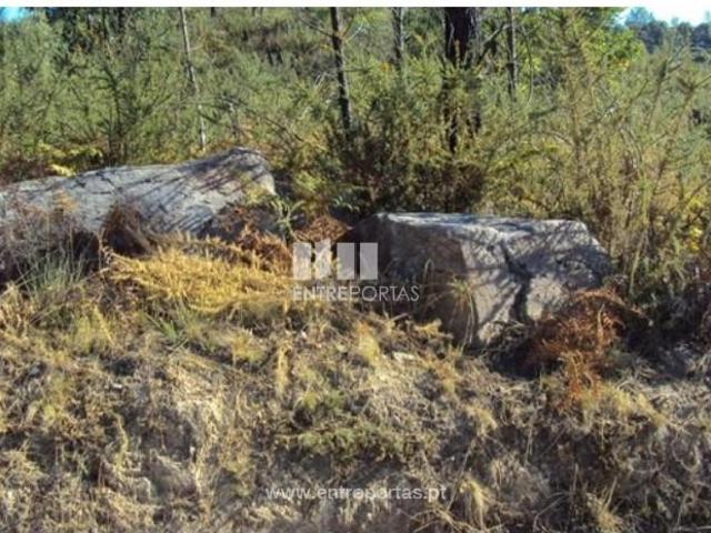 Casa venda em Sande, Porto
