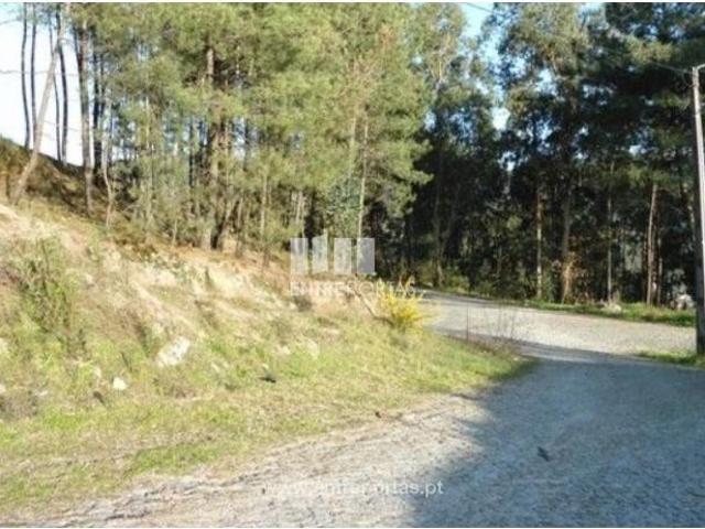 Casa venda em Vale da Estrada, Banho E Carvalhosa