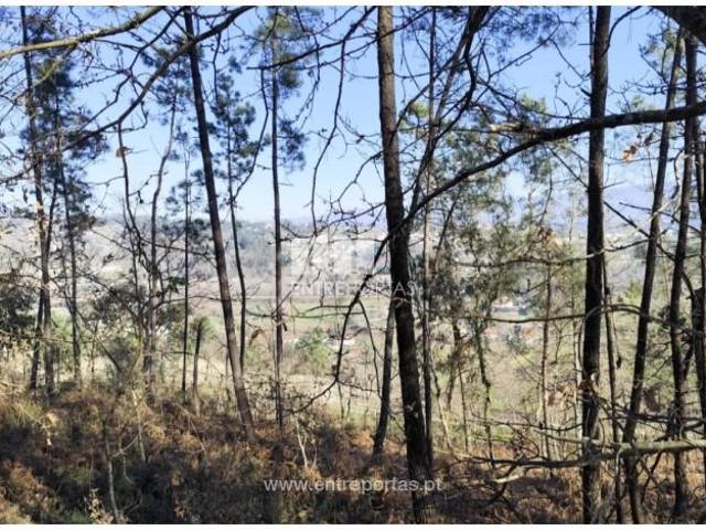 Casa venda em Marco De Canaveses, Porto