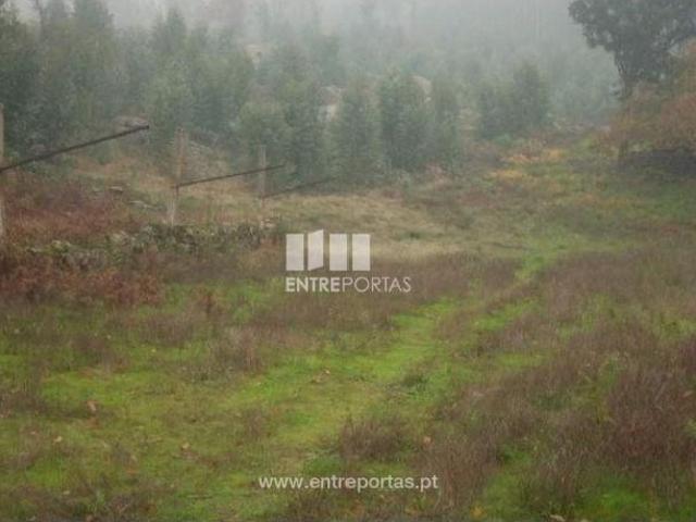 Casa venda em Várzea do Douro, Várzea