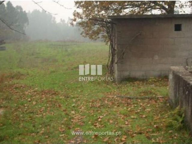 Casa venda em Várzea do Douro, Várzea