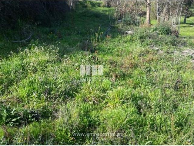 Casa venda em Rio de Galinhas, Marco De Canaveses