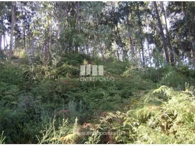 Casa venda em Rio de Galinhas, Marco De Canaveses