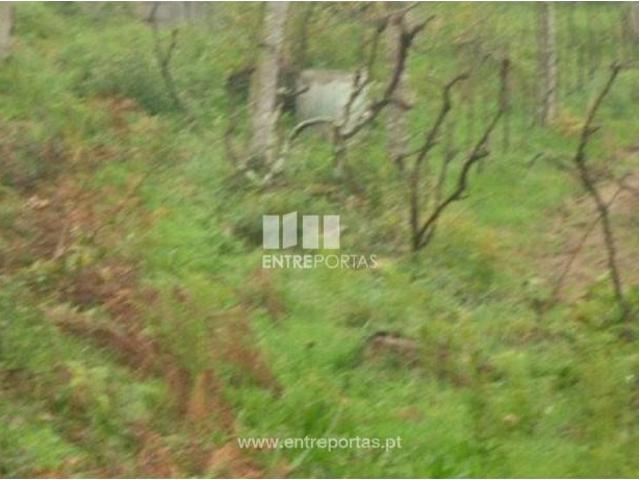 Casa venda em Várzea do Douro, Várzea