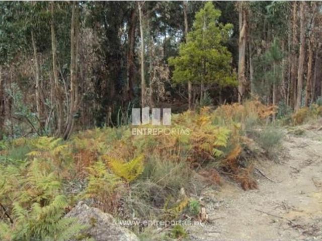 Casa venda em Rio de Galinhas, Marco De Canaveses