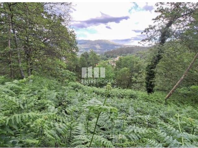 Casa venda em Grovelas São João Evangelista, Viana Do Castelo