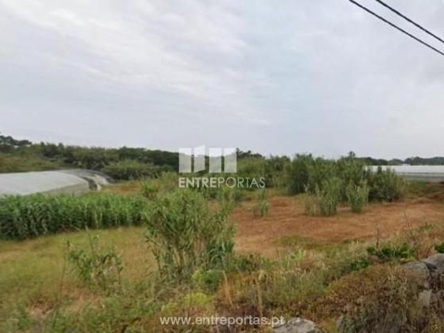 Casa venda em A Ver-o-mar, Porto