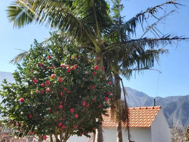 Casa alugar em São Vicente, Ilha Da Madeira