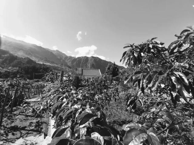 Casa alugar em São Vicente, Ilha Da Madeira