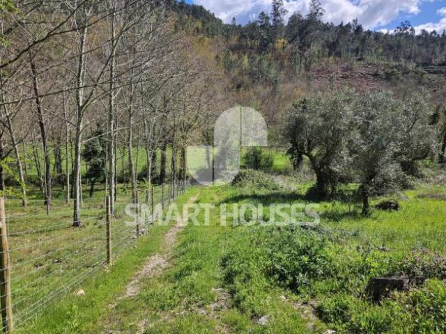 Casa venda em Arganil