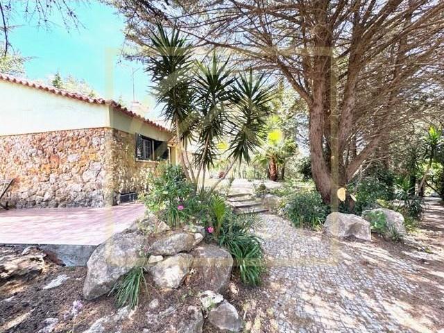 Casa alugar em Cascais, Alcabideche