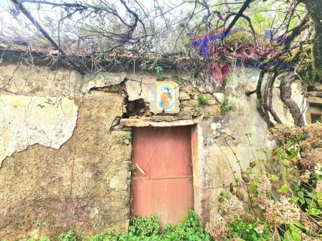 Casa venda em Figueiró Dos Vinhos, Leiria
