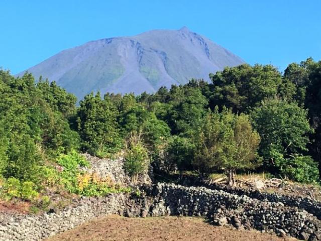 Casa alugar em Lajes Do Pico, Companhia de Baixo