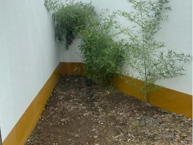 Casa venda em Alentejo, Montemor-o-novo