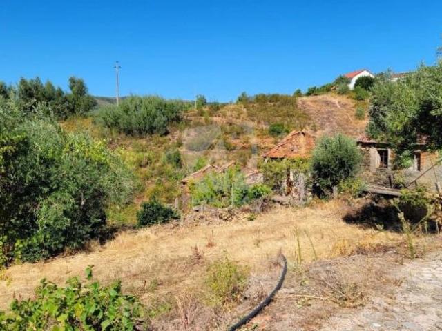 Casa venda em Castelo Branco, Oleiros