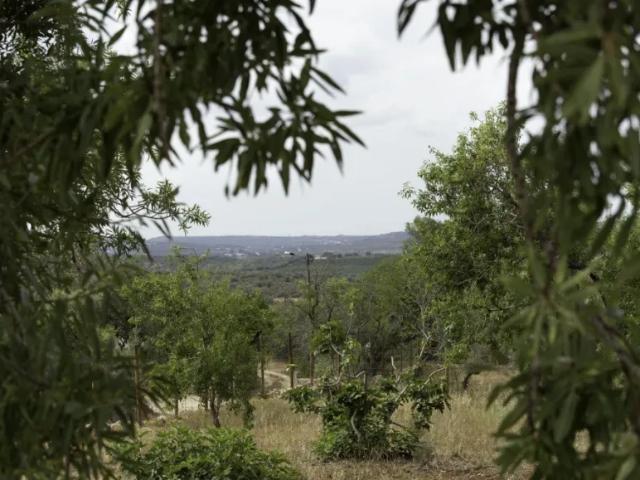 Casa alugar em Messines de Baixo, São Bartolomeu De Messines