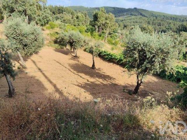 Casa venda em Castelo Branco, Oleiros