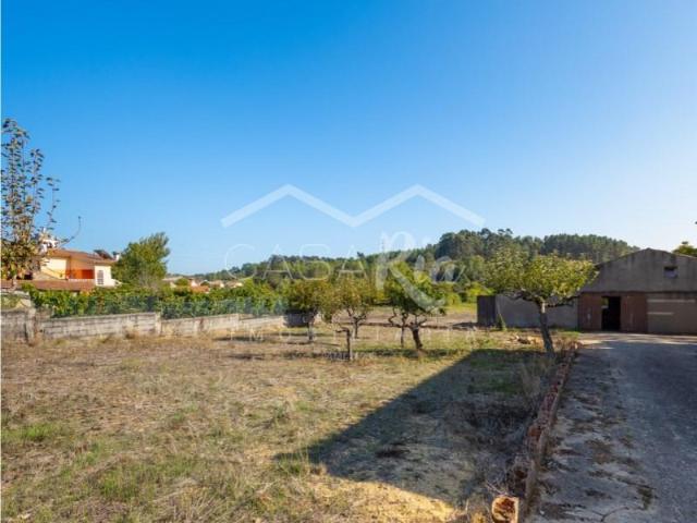 Casa venda em Anadia, Aveiro