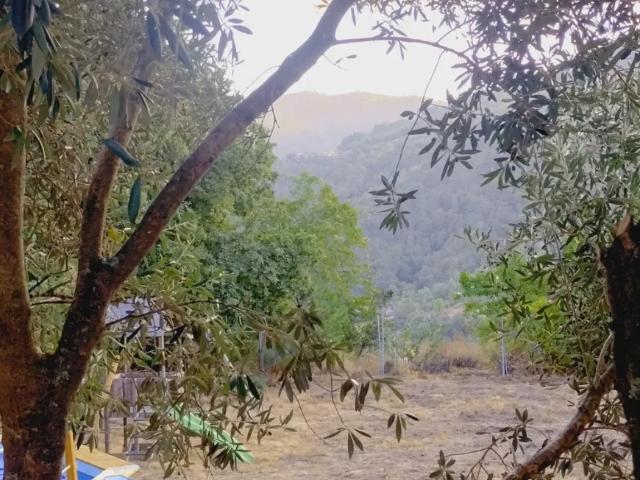 Casa alugar em Celorico De Basto, Braga