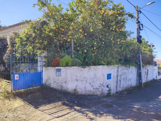 Casa venda em Chamusca e Pinheiro Grande, Chamusca