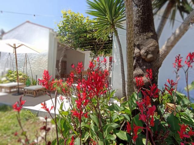 Casa alugar em Algaça, Vila Nova De Poiares