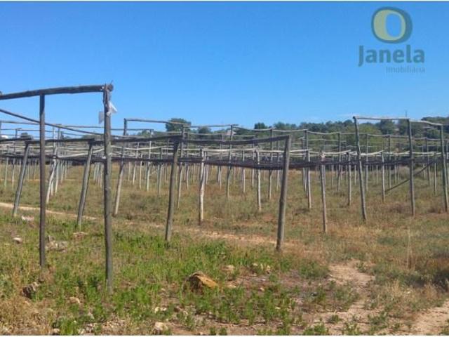 Casa venda em Olhão, Faro