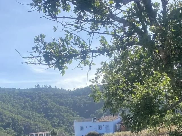 Casa alugar em São Bartolomeu De Messines, Faro