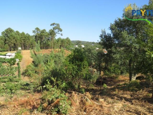 Casa venda em Castelo Branco, Cumeada