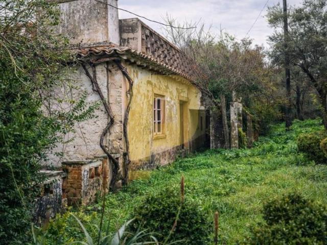 Casa venda em Santiago Maior, Castelo De Vide
