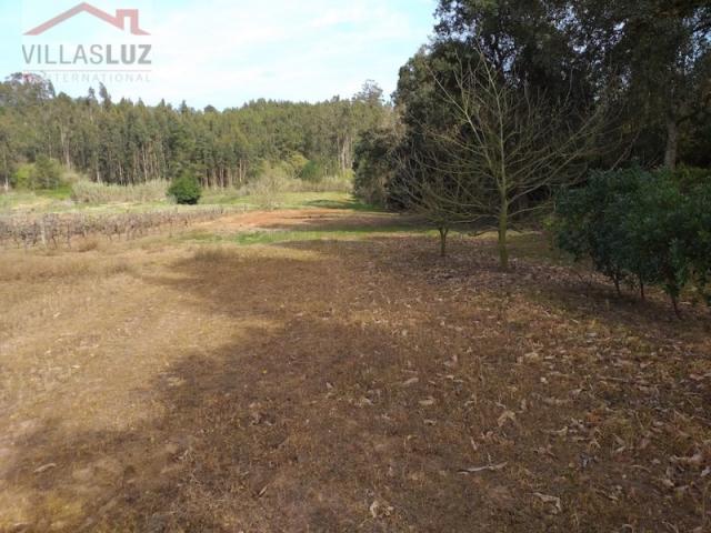 Casa venda em Casais do Alvito, Óbidos