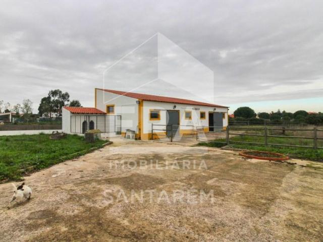 Casa venda em Santarém