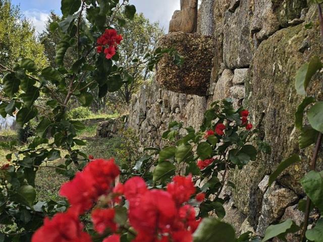 Casa alugar em Marecos, Porto