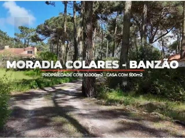 Casa venda em Alto Banzão, Sintra