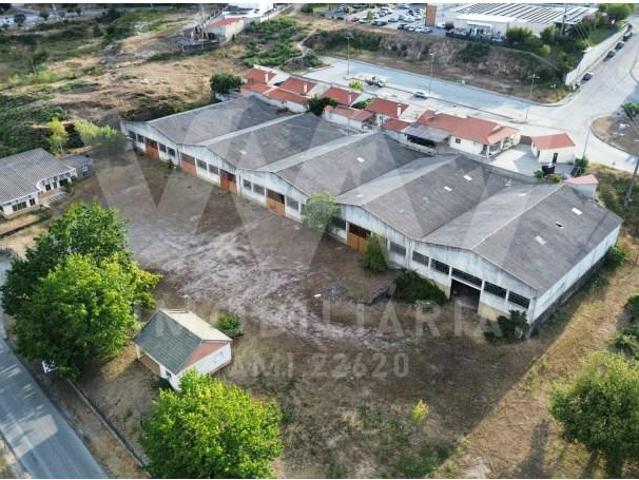 Casa venda em Castelo Branco