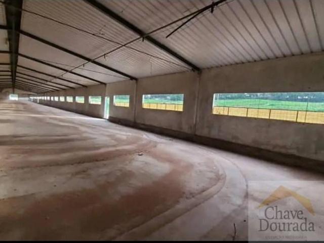 Casa alugar em Coimbra