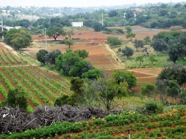 Casa venda em Guia